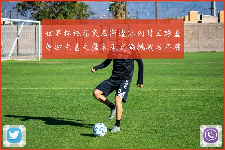 世界杯巡礼突尼斯遭比利时五球羞辱迦太基之鹰未来充满挑战与不确定性