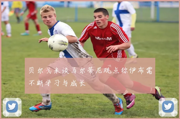 贝尔戈米谈马尔蒂尼观点称伊布需不断学习与成长
